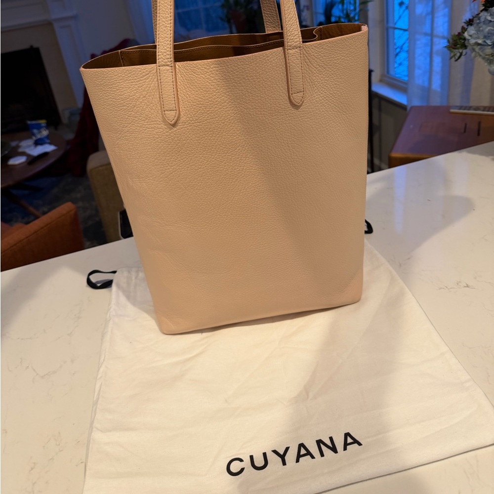Cuyana Tall Structured Tote in Blush